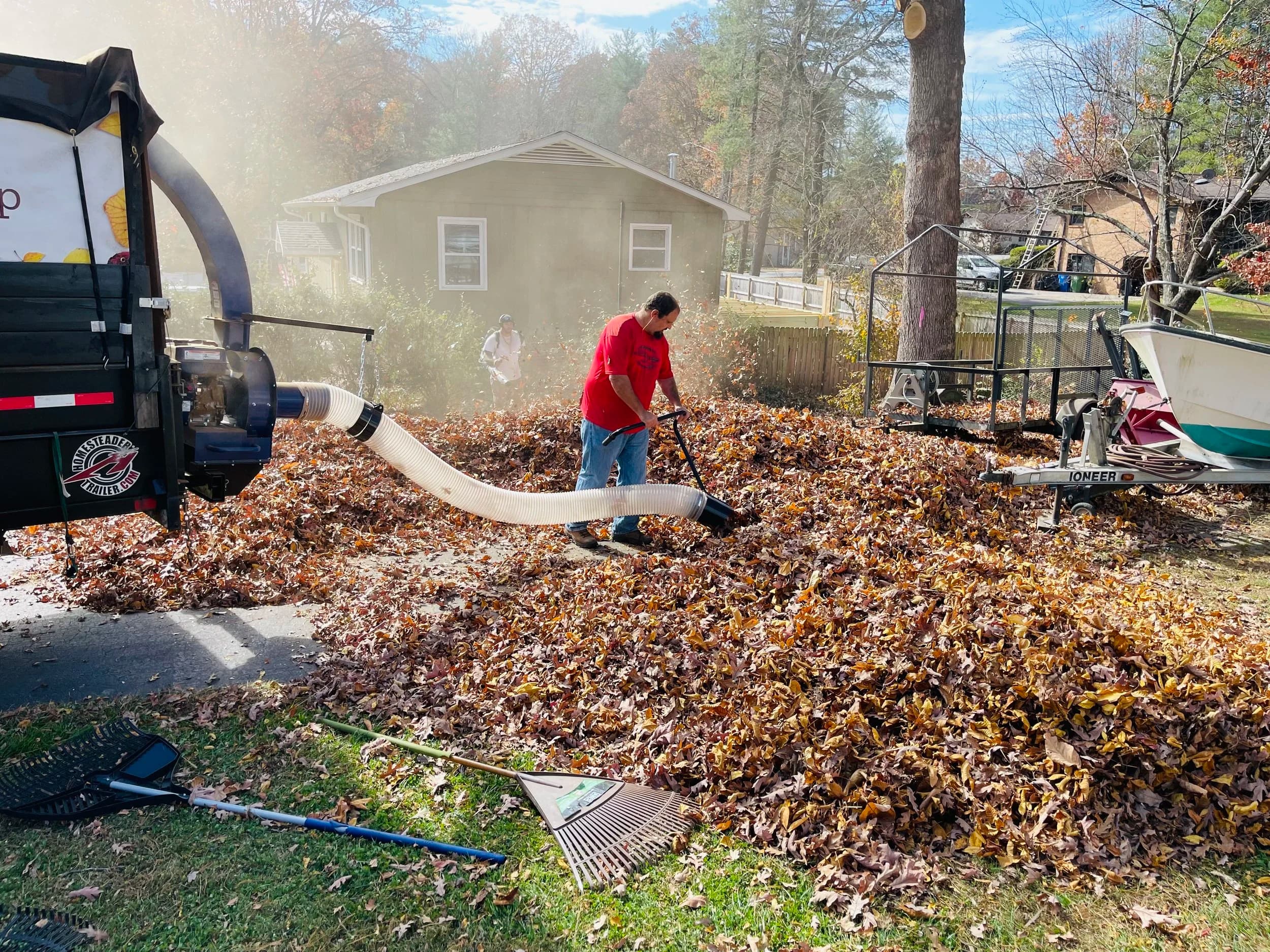Leaf Removal in Wilmington