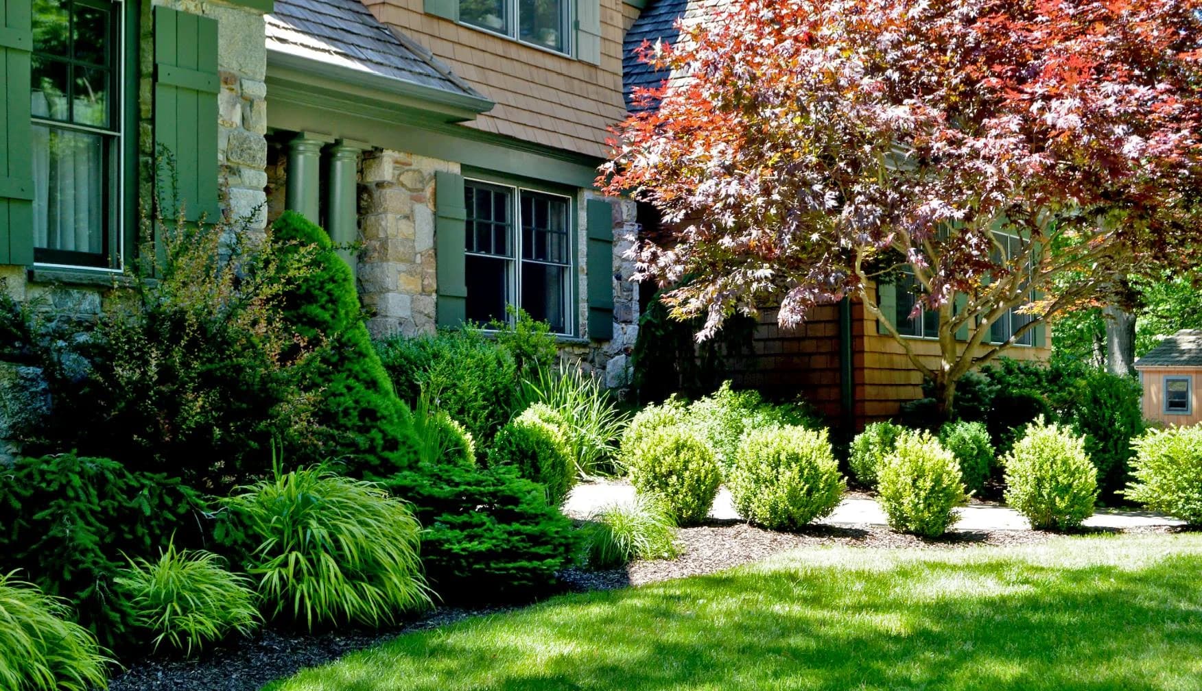 Tree & Shrub Planting Services in Wilmington, NC