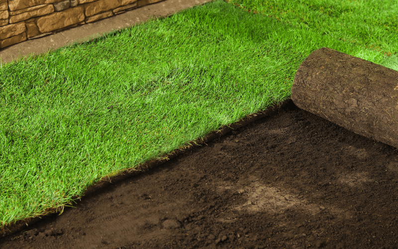 Sod Installation Services in Wilmington, NC