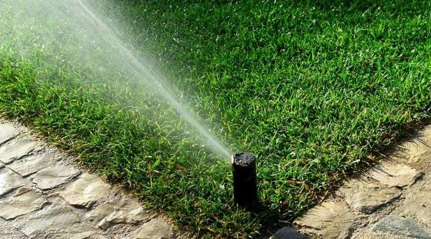 Irrigation System Installation in Hempstead project 4