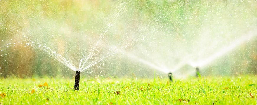 Irrigation System Installation in Hempstead project 6