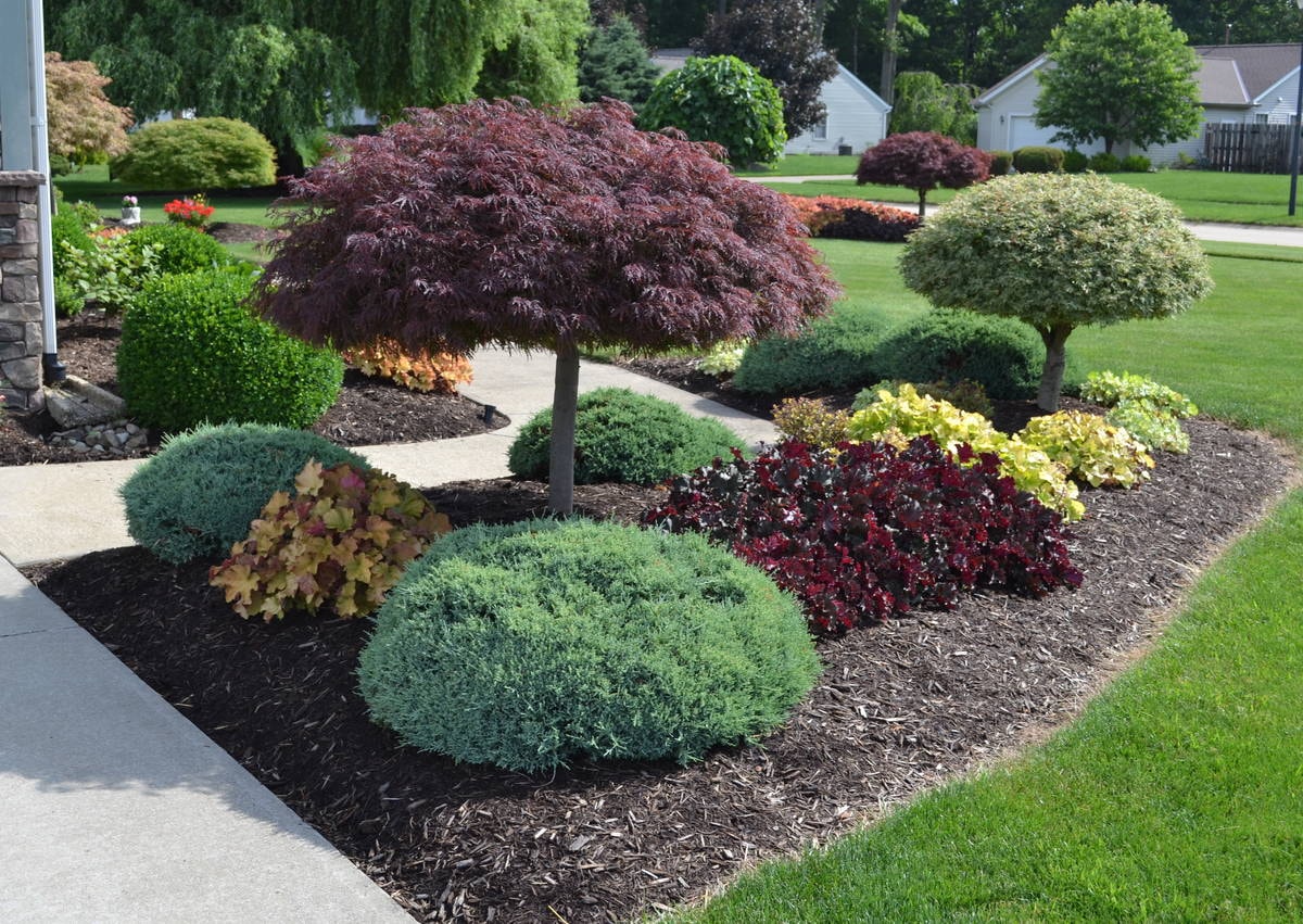 Landscape Design in Hempstead project 7