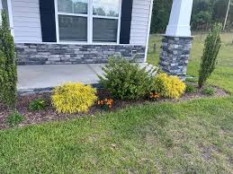 Tree & Shrub Planting in Hempstead project 5