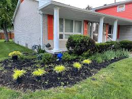 Tree & Shrub Planting in Hempstead project 6