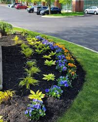 Tree & Shrub Planting in Hempstead project 7